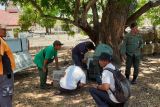 BTN Baluran Situbondo, Jatim, melepasliarkan trenggiling