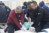 Universitas Indonesia berikan pelatihan 'basic life support' kejadian henti jantung di IKN