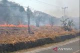 Damkar berusaha padamkan kebakaran lahan di Bakauheni Lampung Selatan