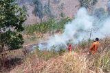 Damkar Lampung Selatan padamkan kebakaran lahan di KM 8 tol Bakauheni-Terbanggi Besar