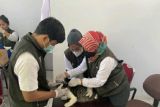 Pemprov Sulbar vaksinasi 1.881 hewan penular rabies