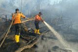 Jumlah titik panas di Kalimantan Timur turun dari 307 jadi 29