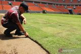 FIFA nilai kualitas rumput lapangan di JIS sangat baik