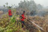 MPA lakukan pembasahan lahan gambut di Kalteng manfaatkan sumur bor