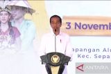 Presiden minta masyarakat dari beragam etnis hidup harmonis di IKN