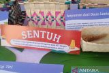 Koalisi KOPI ajak kaum muda NTT menjaga lingkungan cegah perubahan iklim