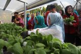 PKK Sulsel berikan PMT untuk anak stunting dan ibu hamil KEK di Lutim