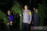 Polisi temukan ladang ganja seluas lima hektare