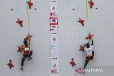 Wakil Indonesia maju ke final speed  IFSC Asian Qualifier