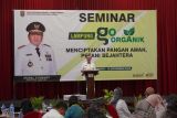 Lampung giatkan pertanian organik ciptakan pangan sehat