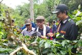 Festival Kopi Gayo dorong pemajuan desa