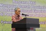 Dinas Kehutanan Sumsel lakukan  peningkatan rehabilitasi mangrove