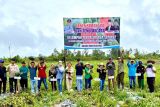 Barito Utara panen semangka tanpa biji di Kemawen