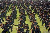 UEA dan RI kolaborasi dukung pengembangan pencak silat