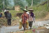 Biogas menjadi fondasi pertanian modern ramah lingkungan di Indonesia