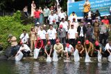 Semen Padang sebar 13 ribu ikan bilis hasil konservasi sejak 2018