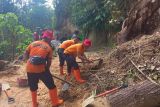 Jalan penghubung Agam-Tanah Datar tertimbun longsor