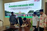 UIN Walisongo teken MoU dengan Majelis Agama Islam Thailand Selatan