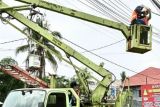 Pemkot Palangka Raya pasang 288 titik lampu PJU