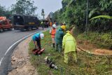 PLN berhasil pulihkan 100 persen sistem kelistrikan pasca banjir-longsor di Limapuluh Kota