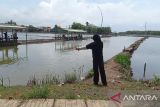 Destinasi wisata pemancingan Borongkalua Maros ramai dikunjungi