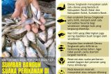 Untuk menjaga populasi ikan bilih Sumbar bangun suaka perikanan di Danau Singkarak