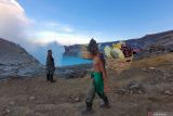 Kunjungan wisata Kawah Ijen di Jawa Timur ditutup sementara