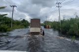 Pelalawan tutup akses Jalan Lintas Timur Sumatera