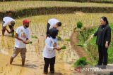 Puan berharap produksi pertanian melimpah dan petani sejahtera