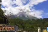 Gunung Merapi luncurkan empat kali awan panas selama sepekan