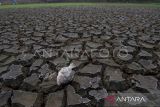 DPRD NTT:  Penanganan El Nino perlu dilakukan bersama-sama