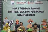 Dinas TPHP Sulbar indetifikasi kematian ternak babi di Papalang Mamuju