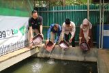 Dompet Dhuafa Lampung dan PT Bukit Asam Tbk lepaskan 10.000 bibit ikan lele