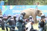 KLHK tingkatkan jumlah SPORC perluas cakupan pengawasan hutan