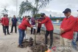 HATHI tanam 100 pohon di Kotim, jaga kelestarian air dan lingkungan