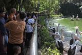 Taman Margasatwa Ragunan idola wisatawan