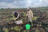 MedcoEnergi tanam 1,39 juta pohon di wiayah DAS Sumsel