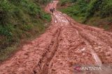 KPU Pesisir Barat distribusikan logistik pemilu gunakan gerobak sapi