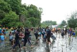Mapala Satria UMP tanam 3.000 bibit mangrove dan cemara laut di Pantai Sodong Cilacap