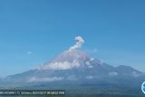 Semeru erupsi setiap hari dalam sepekan terakhir