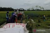 Perpadi Cilacap dukung sistem penyerapan gabah Bulog Banyumas