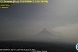 Gunung Semeru kembali erupsi