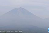 Gunung Semeru erupsi semburkan abu vulkanik setinggi 400 meter