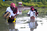 Siswa menyeberangi sungai untuk berangkat ke sekolah