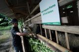 Soleh akhirnya mandiri berkat belajar di Dompet Dhuafa Farm