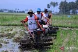 Program bajak sawah gratis Tanah Datar sasar 4.400 hektare pada 2024