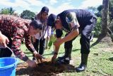 Pemprov Sulsel:  Pangkep bisa jadi penghasil nangka madu