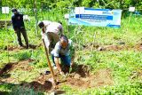 PT PLN tanam 100.000 bibit di Gunung Kidul, DIY, untuk program biomassa