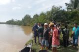 Seorang warga Masang Agam diduga diserang buaya muara saat cari lokan