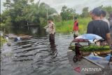 Kenaikan debit air telan dua korban jiwa di Palangka Raya